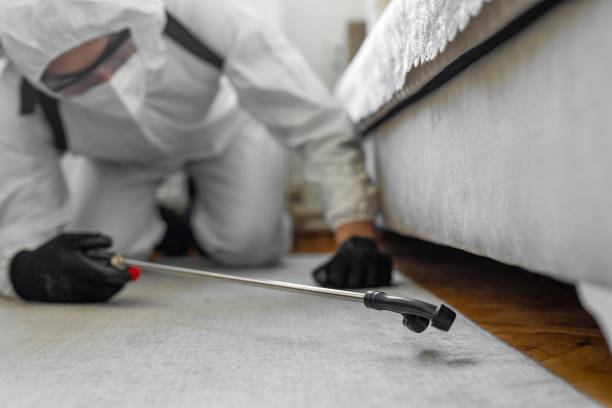 Professional Bed Bug Control technician working in Lake County County, OR